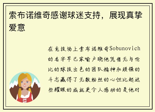 索布诺维奇感谢球迷支持，展现真挚爱意
